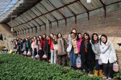 公司总部与非凡
贸易联合开展妇女节活动